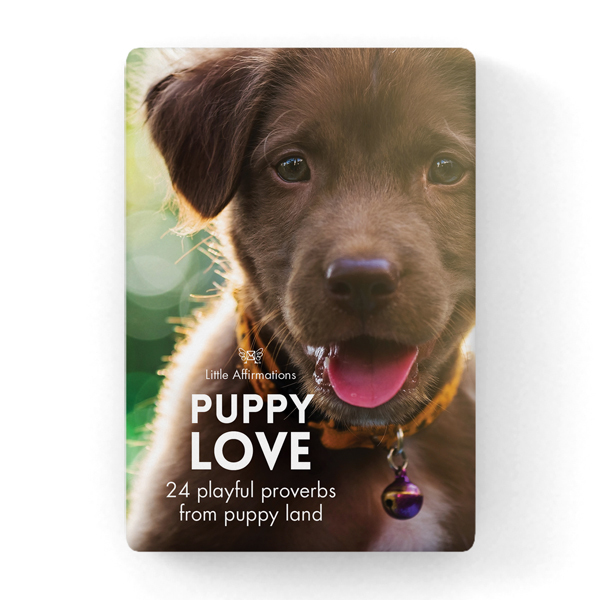 Puppy Love - Little Affirmations Boxed Quotations