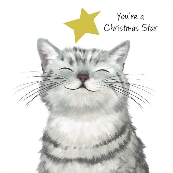 Cat - Christmas Cards - Womens Refuge Charity - 10 Pack
