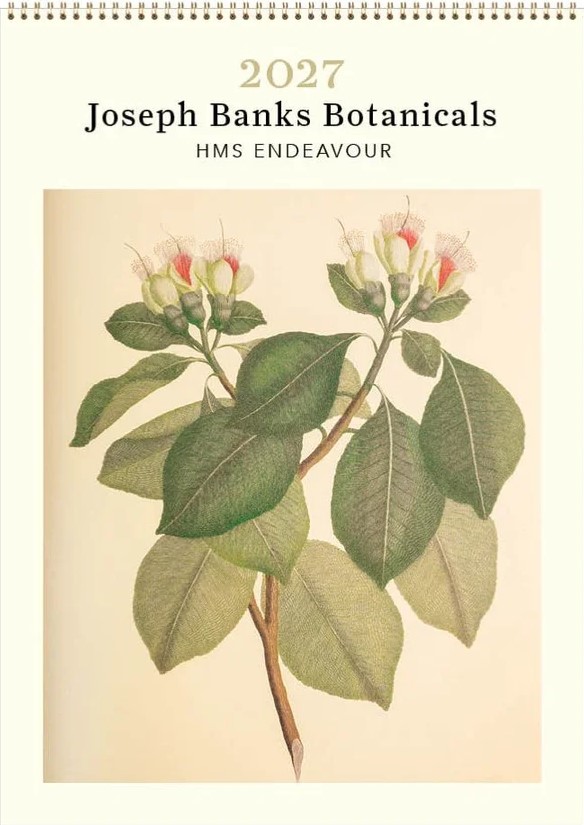 2027 Joseph Banks Botanicals - HMS Endeavour - Wall Calendar