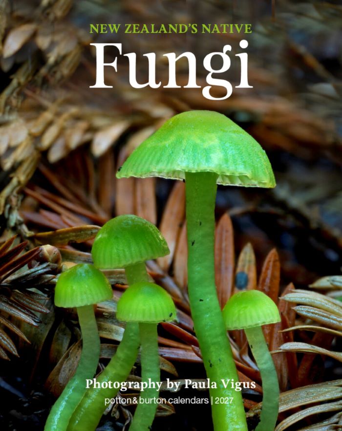 New Zealands Native Fungi - 2027 Mini Calendar