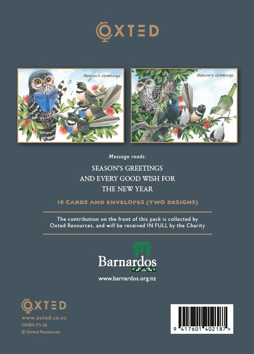 Christmas Cards - Barnardos Charity - 10 Pack
