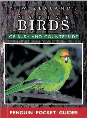 New Zealand Native Birds Of Bush And Country