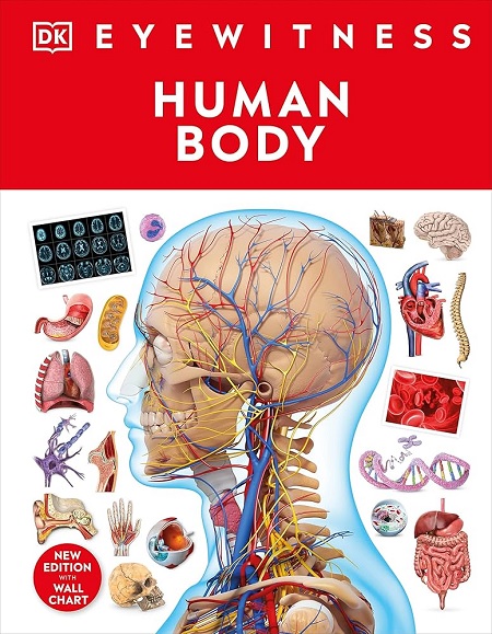 Human Body - Eyewitness