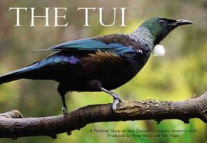 Tui - A Pictorial Study Of New Zealands Colourful Endemic Bird