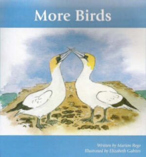 More Birds