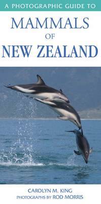 Photographic Guide to Mammals of New Zealand