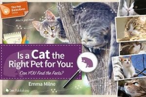 Is a Cat the Right Pet for You - Can You Find the Facts?