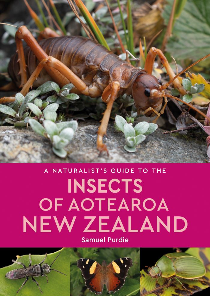 Naturalists Guide To The Insects Of Aotearoa New Zealand