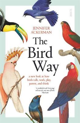 Bird Way