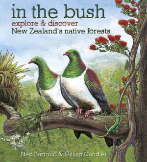 In The Bush - Explore And Discover New Zealands Native Forests