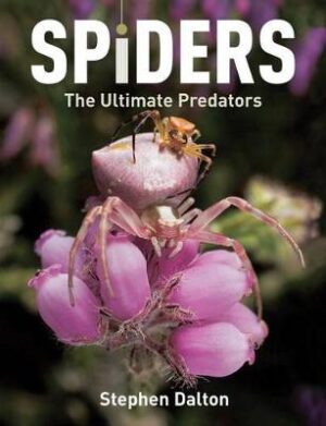 Spiders - The Ultimate Predators